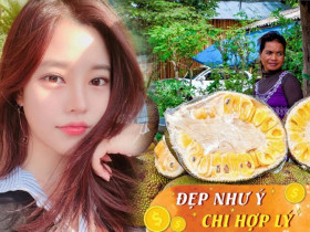 Việt Nam đang sở hữu một loại quả vườn quê được mệnh danh “quả thần”, giúp làm đẹp da, chống nhăn ai cũng mê