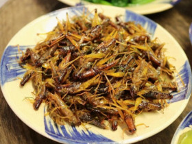 Con này xưa vứt cho gà ăn giờ là đặc sản, có giá vài trăm nghìn 1kg, đem rang được món nhậu giòn ngon thơm nức