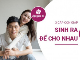 Hòa hợp tuyệt đối: 3 cặp con giáp có duyên nợ sâu nặng, sinh ra để dành cho nhau