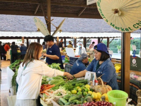 Khu chợ cuối tuần chuyên bán đặc sản "xanh sạch", được ví như "ốc đảo sinh thái", du khách đến đông nghịt
