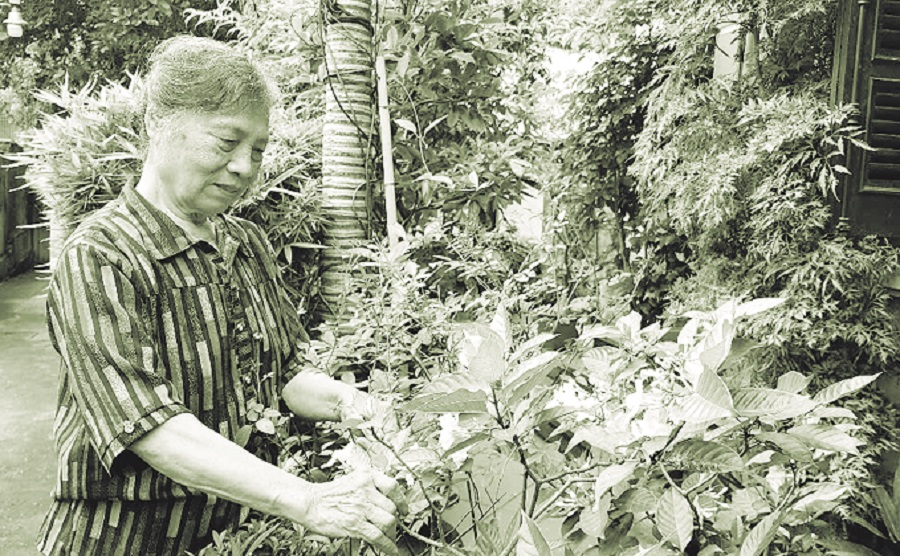 Phụ nữ thi đua “giữ nhà, xây tổ ấm” - 1