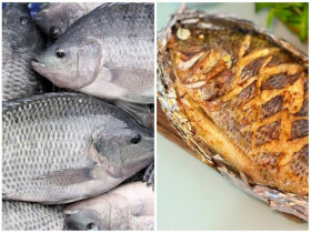 Loại cá dân dã của Việt Nam được ví như “cá hồi thịt trắng”, đạm gấp 7 lần sữa, chế biến kiểu này ngon không thừa một miếng
