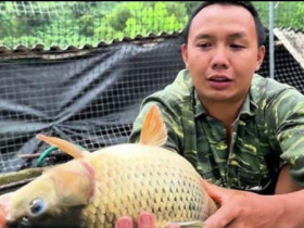 Đặc sản nhìn "rợn tóc gáy" lại là món ăn ngon của người Tây Bắc, chỉ dành để đãi khách quý
