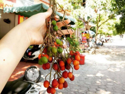 Loại quả dại xưa rụng đầy gốc không ai nhặt, nay thành "đặc sản tuổi thơ" nhiều người lùng tìm bằng được