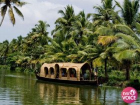 Backwaters Kerala: Nơi thời gian ngưng đọng bên dòng nước