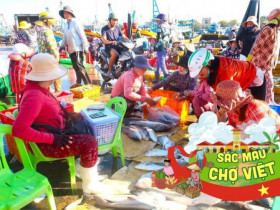 Chợ cá tồn tại mấy trăm năm giữa lòng Phan Thiết, là một trong những nơi bán hải sản ngon-bổ-rẻ bậc nhất