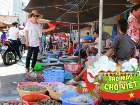 Ở Thanh Hóa muốn mua hải sản tươi ngon giá rẻ nhất định phải đến khu chợ không phải ai cũng biết này!