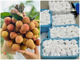 Vải mua về vài hôm là thâm vỏ, học mẹ đảm làm theo cách này để cả tháng vẫn tươi ngon, thích ăn là có