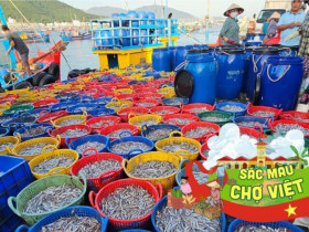 Dân địa phương mách bạn khu chợ bán hải sản cực rẻ ở Nha Trang, đảm bảo tươi ngon vừa đánh bắt từ biển lên