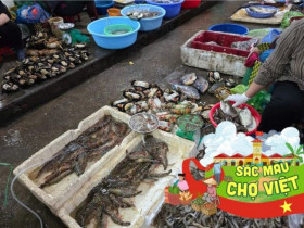 Giữa lòng Quảng Ninh có khu chợ cổ kính bậc nhất: Từ khu chợ truyền thống nay thành địa điểm bán đủ thứ ai cũng mê