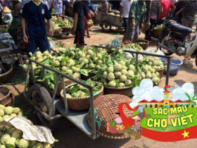 Về Lạng Sơn đi khu chợ chỉ bán đúng một loại quả mà vẫn hút hàng nghìn người đến mua