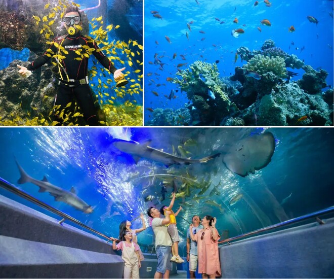 Bảo tàng Hải Dương Học Nha Trang - Đại dương thu nhỏ tuyệt đẹp giữa lòng thành phố - 3