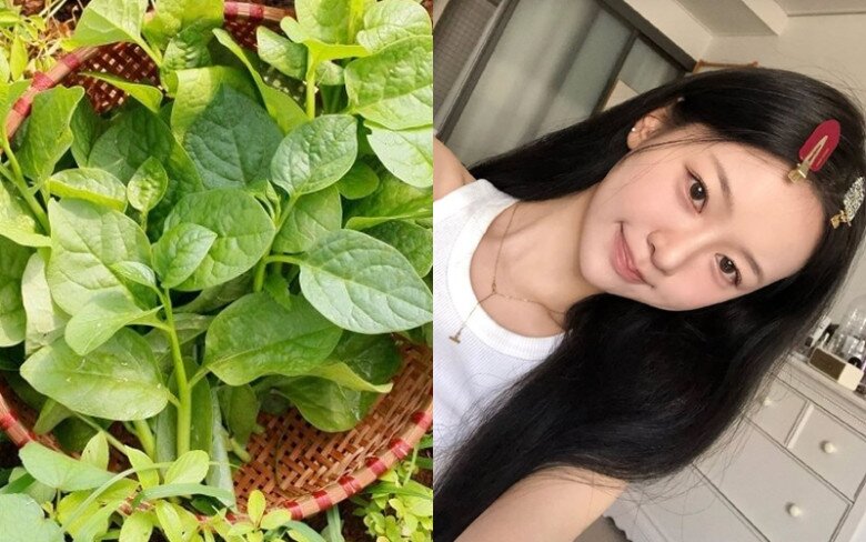 Chi 10.000 đồng mua loại rau quen thuộc ngoài chợ về vừa ăn vừa đắp mặt, ai tóc rụng da khô dùng vào thấy khác ngay - 2