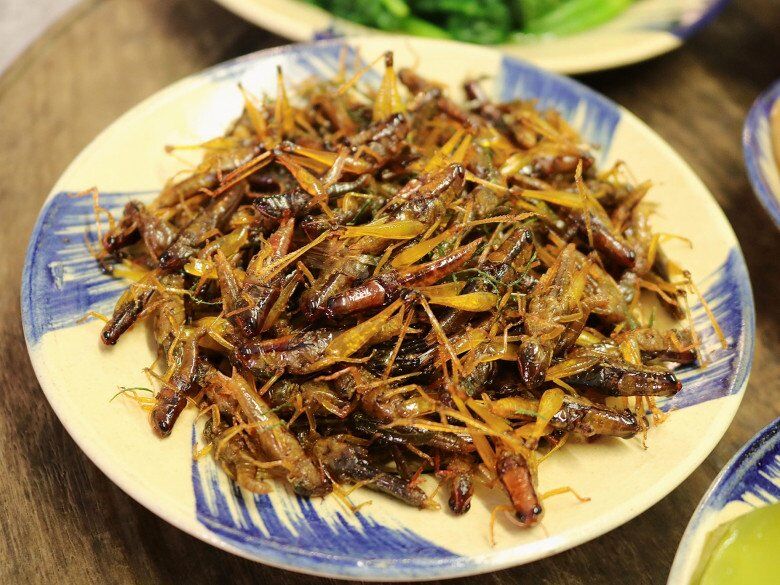 Con này xưa vứt cho gà ăn giờ là đặc sản, có giá vài trăm nghìn 1kg, đem rang được món nhậu giòn ngon thơm nức - 3