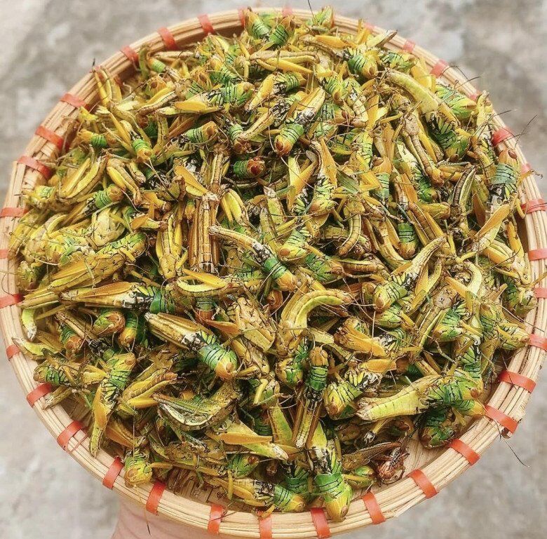 Con này xưa vứt cho gà ăn giờ là đặc sản, có giá vài trăm nghìn 1kg, đem rang được món nhậu giòn ngon thơm nức - 1