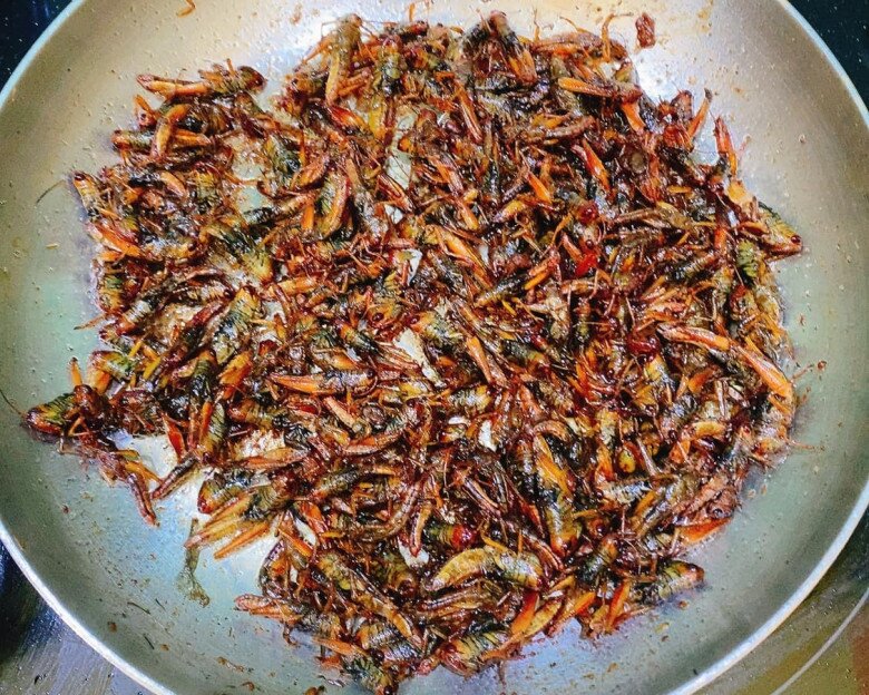 Con này xưa vứt cho gà ăn giờ là đặc sản, có giá vài trăm nghìn 1kg, đem rang được món nhậu giòn ngon thơm nức - 2