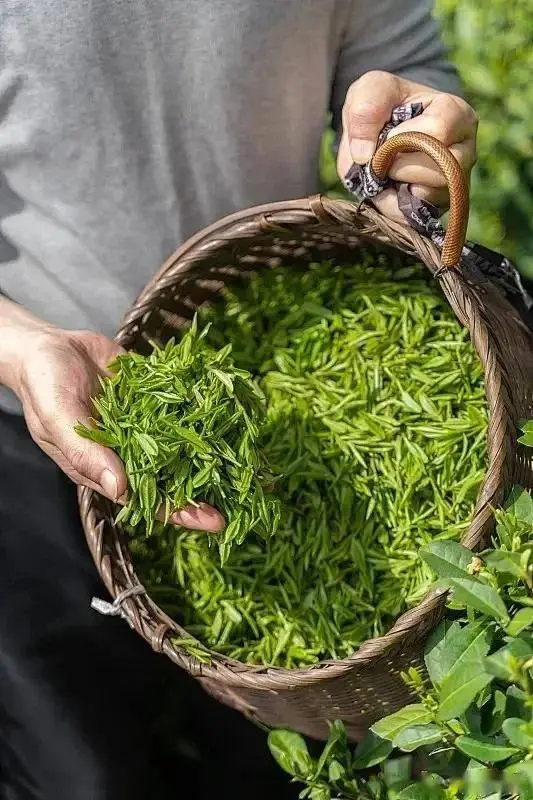 Đừng chỉ nấu cơm bằng nước lọc như thường nữa! Chỉ cần thêm một nắm nhỏ này, cơm thơm đến mức hàng xóm cũng phải gõ cửa &#34;xin ăn&#34; - 1