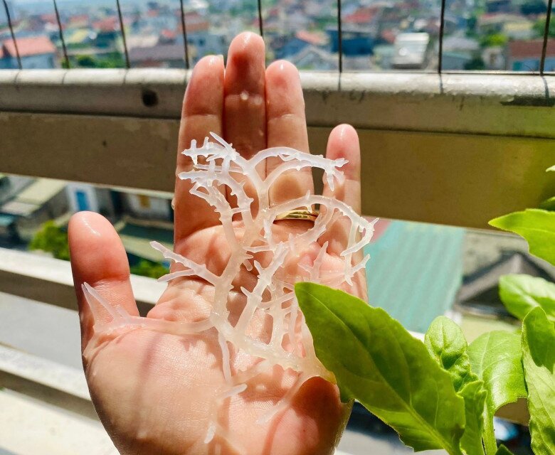 Giải nhiệt ngày hè với nộm tai sụn rong biển giòn ngon, thanh mát, ăn vào là mê - 6