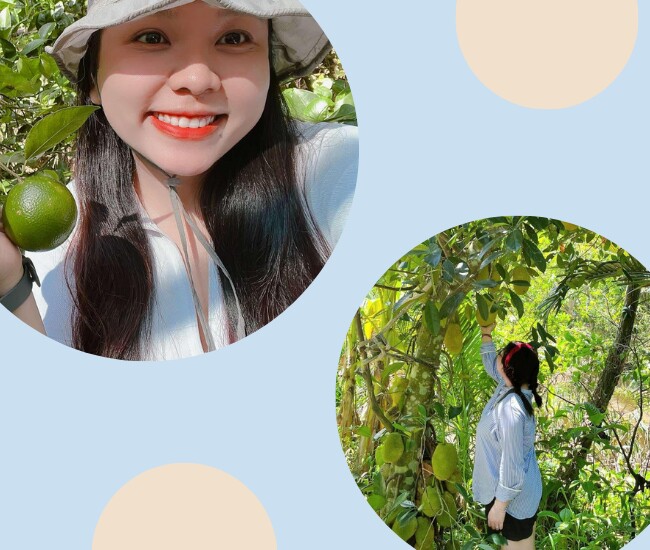 Loại quả xưa chẳng ai ngó ngàng giờ là đặc sản ít người bán, đem kho chay được món trôi cơm - 2