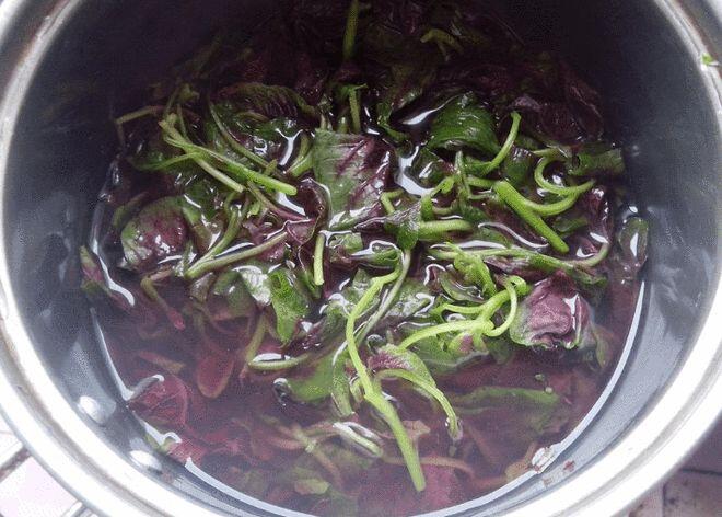 Loại rau có axit folic gấp 46 lần dưa chuột, mệnh danh là &#34;rau trường thọ&#34;, đem xào tỏi thôi cũng ngon - 3