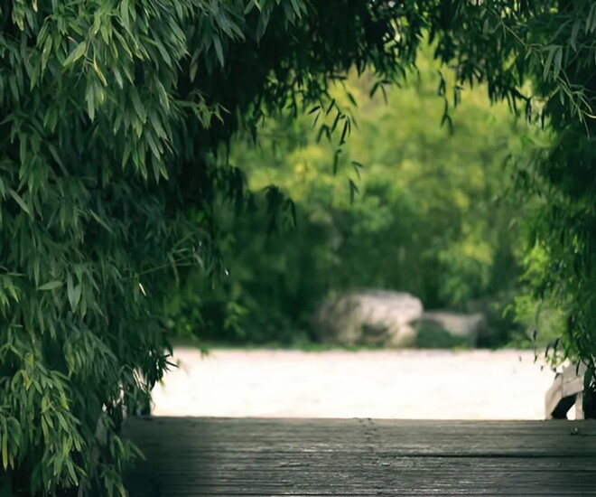 Có được 3 chữ này, cuộc đời sẽ ngày càng suôn sẻ, phước lành kéo đến - 1