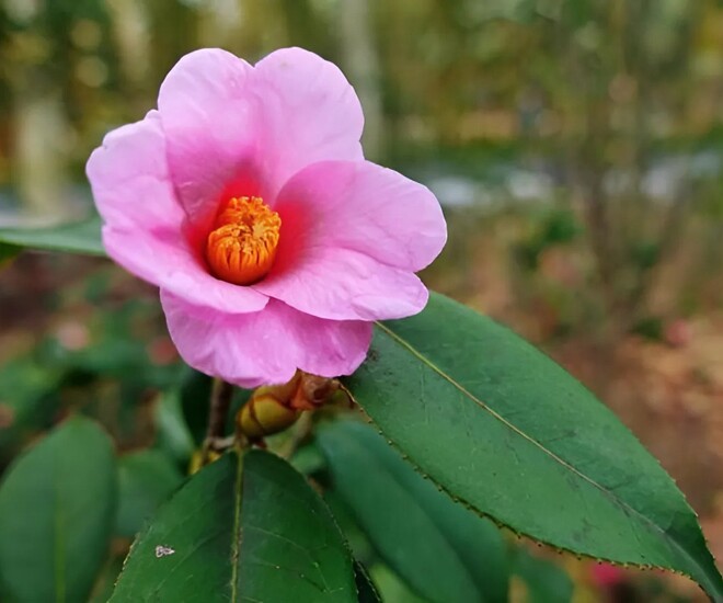 Phụ nữ có 3 thói quen này chứng tỏ rất thông minh, không hề đơn giản - 1