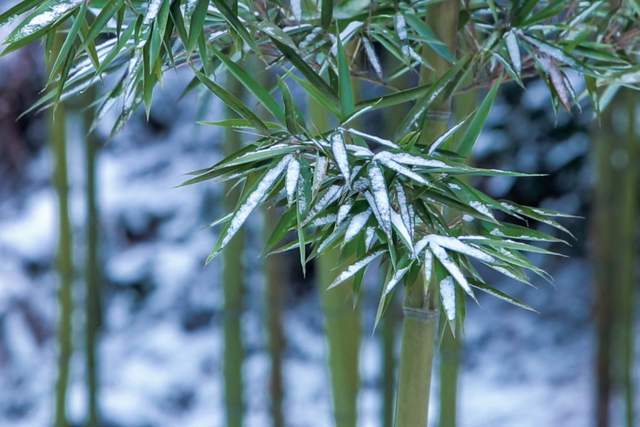 Có được 3 chữ này, cuộc đời sẽ ngày càng suôn sẻ, phước lành kéo đến - 2