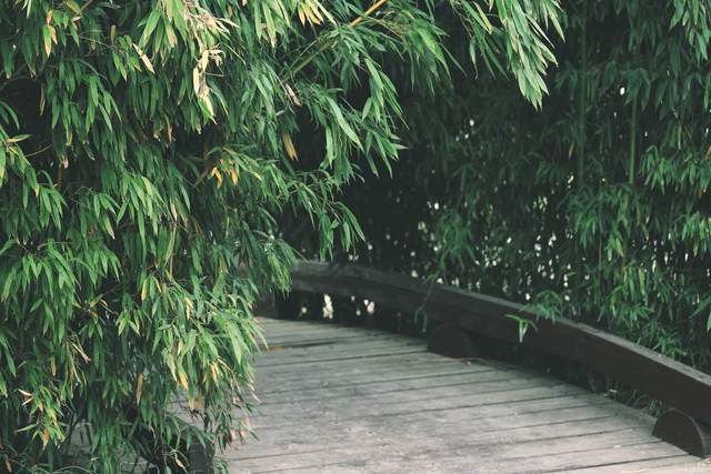 Có được 3 chữ này, cuộc đời sẽ ngày càng suôn sẻ, phước lành kéo đến - 3