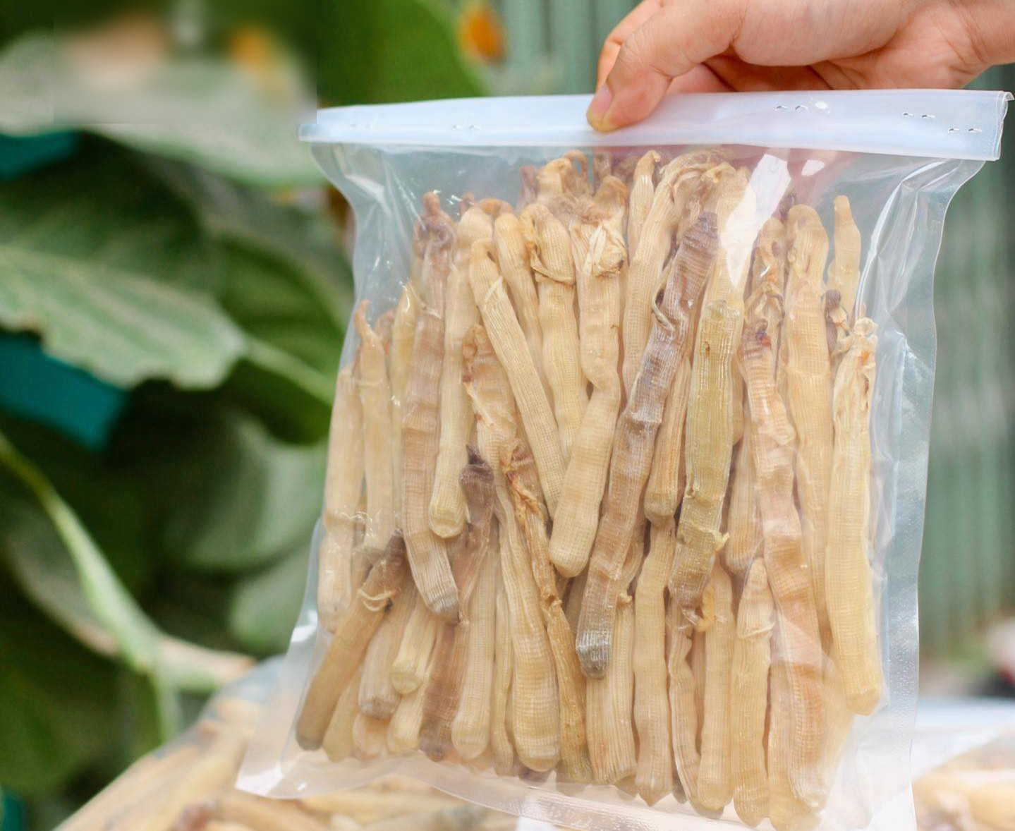 Đặc sản Quảng Ninh được ví như “mì chính nhà giàu”, nhìn ghê rợn mà ăn siêu cuốn, 6 triệu đồng/kg vẫn hút khách - 6