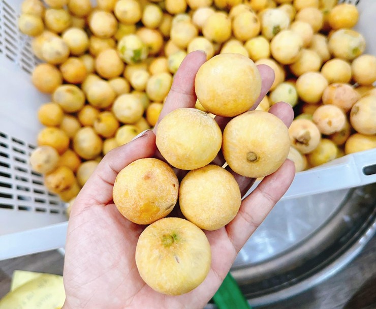 Ở Hà Nội có loại đặc sản đã vào mùa, tên gọi hay bị nhầm lẫn, là “biểu tượng” cho mối tình đầu xanh non chua chát - 2