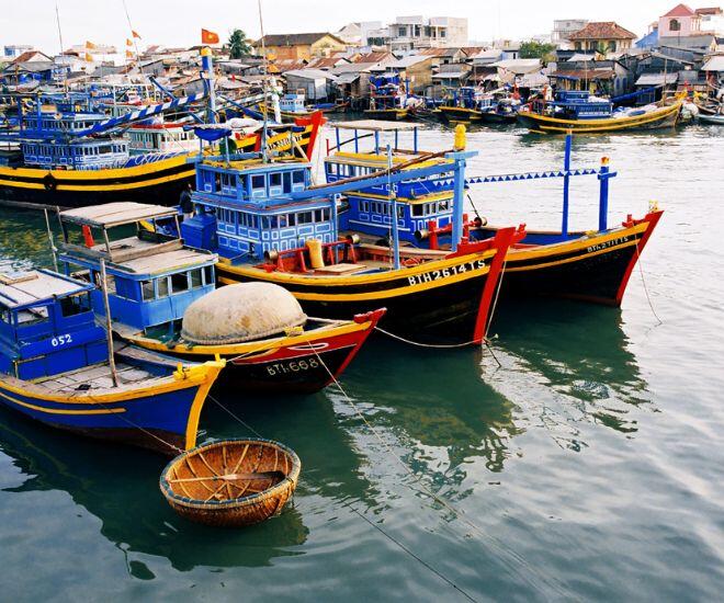 Chợ cá tồn tại mấy trăm năm giữa lòng Phan Thiết, là một trong những nơi bán hải sản ngon-bổ-rẻ bậc nhất - 1