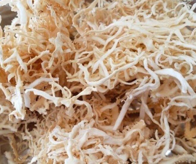 Thứ xưa mọc dại đầy trên đá nay thành món ăn cực hiếm lại giàu dinh dưỡng, giá tới 800.000 đồng/kg - 1