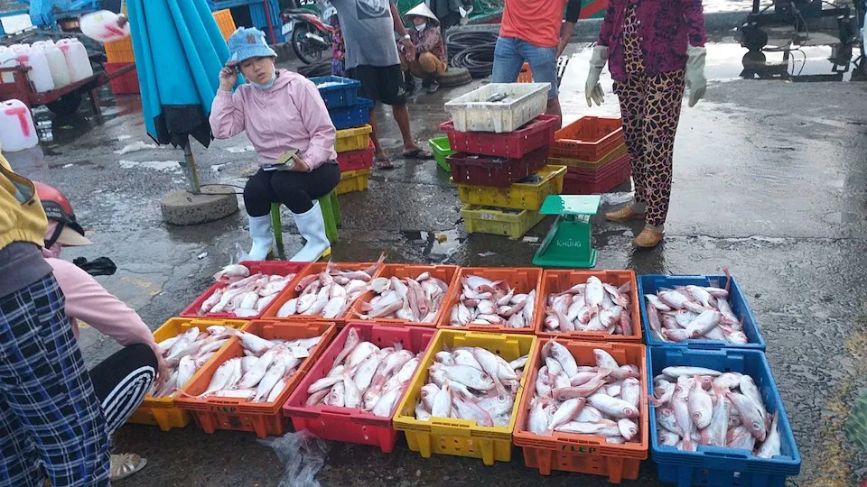 Chợ cá tồn tại mấy trăm năm giữa lòng Phan Thiết, là một trong những nơi bán hải sản ngon-bổ-rẻ bậc nhất - 4