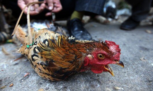 Chợ phiên cổ nhất giữa lòng Lạng Sơn: Ai cũng mang theo một thứ để đựng đồ, chỉ ở đây mới có một nghề lạ - 5