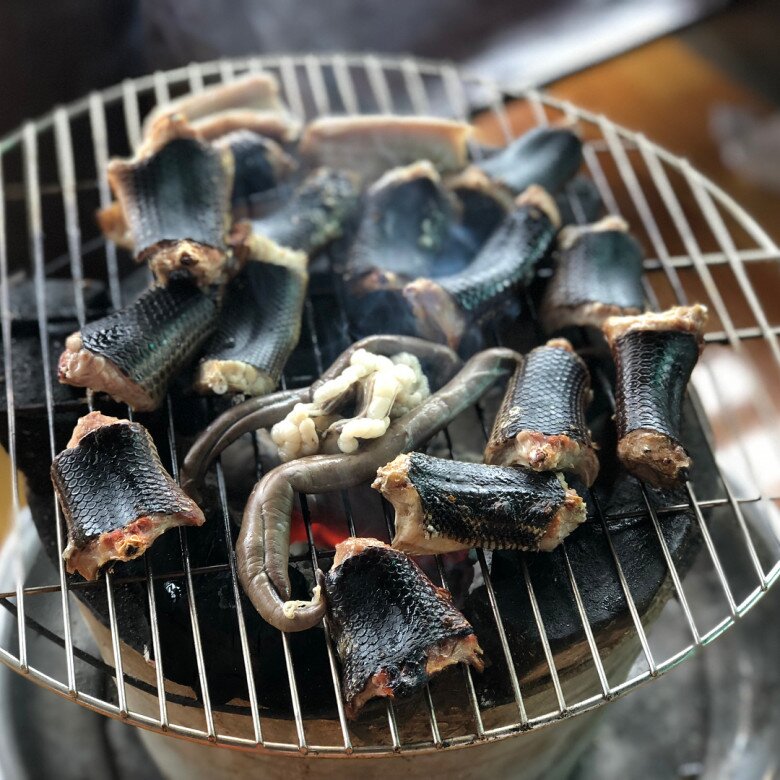 Con vật được ví như &#34;quái vật biển&#34; khiến nhiều người sợ &#34;chết khiếp&#34;: Là đặc sản ở Quảng Bình vì siêu bổ dưỡng - 4