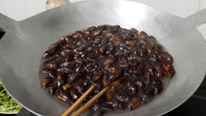 Con vật khiến nhiều người &#34;sợ chết khiếp&#34; là đặc sản gây nghiện của An Giang, xưa chỉ người nghèo ăn nay ai cũng lùng mua - 3