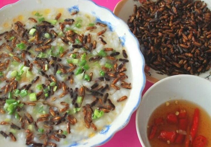 Con vật nhìn rợn gai ốc nhiều người xua đuổi lại là đặc sản của người Quảng Nam, mang hương vị của lòng hiếu thảo - 4