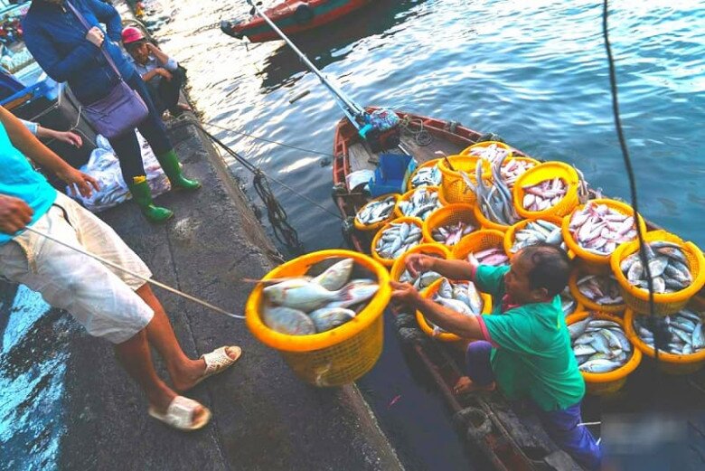 Dân địa phương mách bạn khu chợ hải sản rẻ nhất Phú Quốc, không phải ai cũng biết - 2