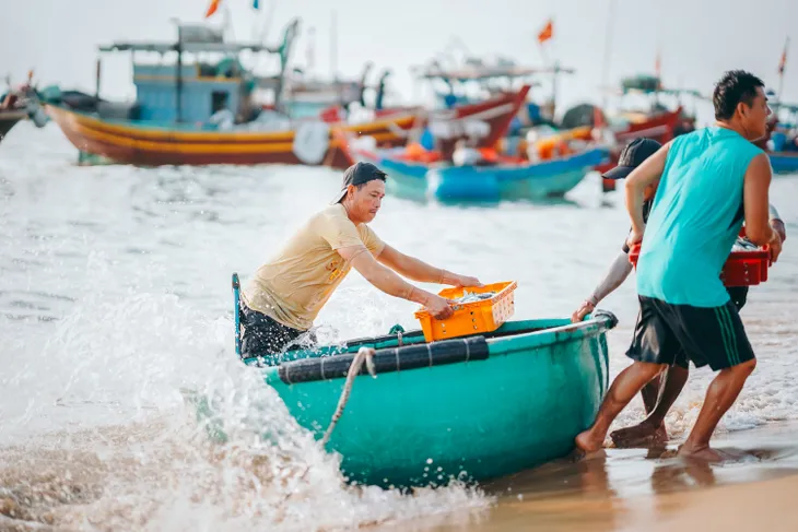 Chợ cá sầm uất bậc nhất Quảng Bình chỉ dân địa phương biết, phải dậy thật sớm mới mua được hải sản ngon-bổ-rẻ - 6