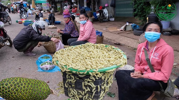 Mách bạn nơi chỉ bán đặc sản rừng độc lạ giữa lòng Sơn La: Xưa chỉ là khu chợ tạm nay thành địa điểm mua sắm sầm uất - 5