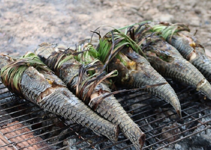 Loài cá xấu như quỷ nhìn rợn người nay được chế biến thành món ngon thơm phức trên bàn nhậu, dân sành ăn khen hơn cả thịt gà - 4