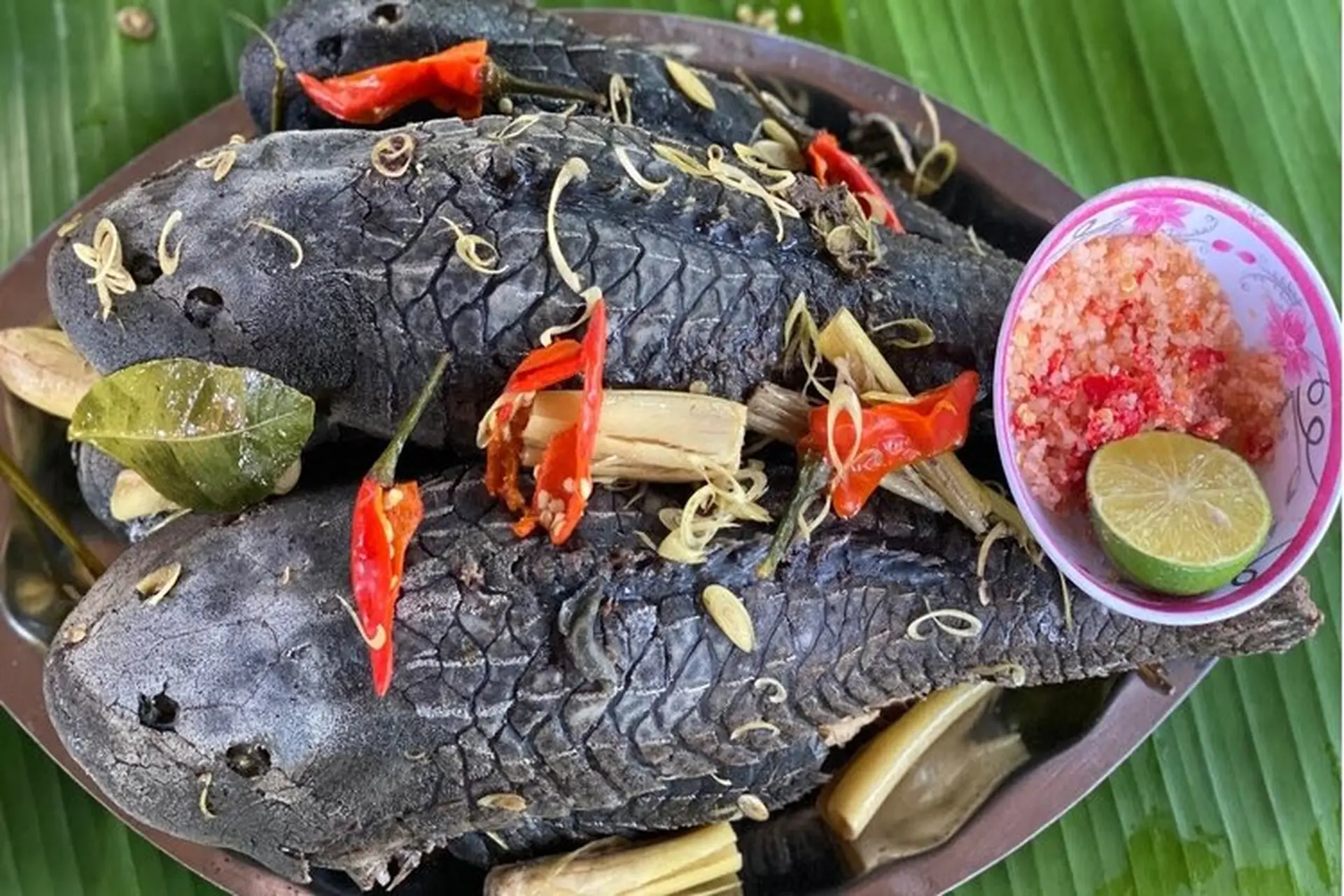 Loài cá xấu như quỷ nhìn rợn người nay được chế biến thành món ngon thơm phức trên bàn nhậu, dân sành ăn khen hơn cả thịt gà - 6