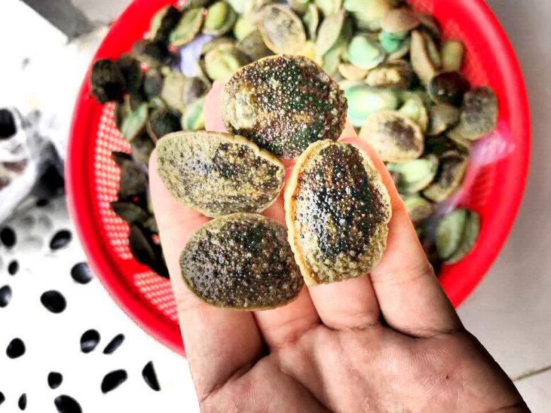 Loài vật nghe tên đã thấy &#34;hung dữ&#34; chỉ có ở Thanh Hóa, chế biến được thành món ăn ngon xuất sắc, giá đến 160.000 đồng/kg - 2