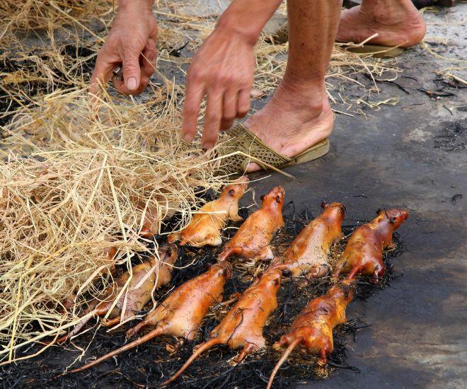 Miền Tây và những món đặc sản &#34;kinh dị&#34; khiến người yếu vía chạy mất dép, nhưng Ngọc Trinh mê như điếu đổ - 1