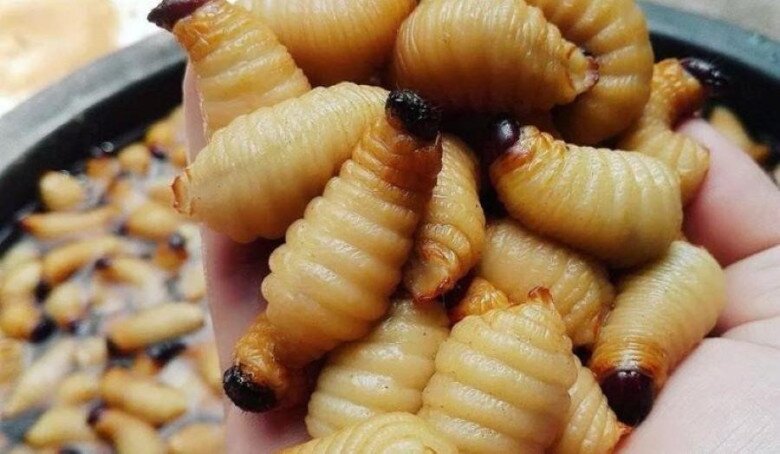 Miền Tây và những món đặc sản &#34;kinh dị&#34; khiến người yếu vía chạy mất dép, nhưng Ngọc Trinh mê như điếu đổ - 6
