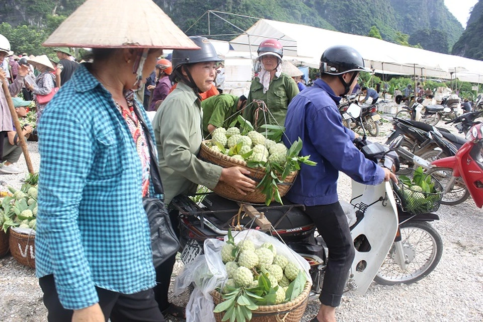 Về Lạng Sơn đi khu chợ chỉ bán đúng một loại quả mà vẫn hút hàng nghìn người đến mua - 5