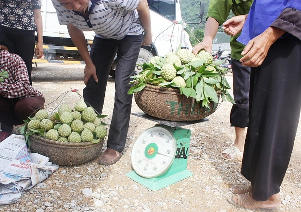 Về Lạng Sơn đi khu chợ chỉ bán đúng một loại quả mà vẫn hút hàng nghìn người đến mua - 3