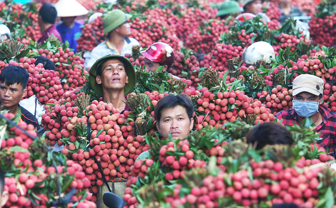 Ở Bắc Giang có một khu chợ chỉ đông đúc 1 mùa trong năm, đẹp như tranh vẽ, bán loại đặc sản &#34;vạn người mê&#34; - 3