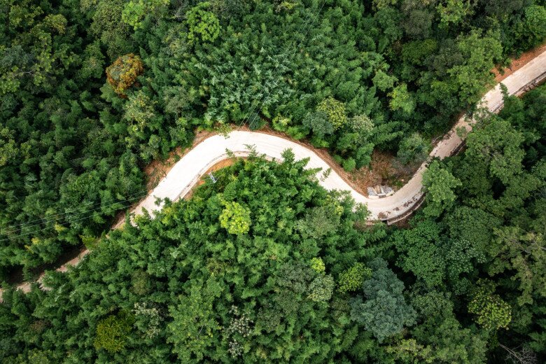Cách Hà Nội 300km có khu rừng kỳ bí, hút khách du lịch thập phương vì vẻ đẹp tựa tranh vẽ, nơi nào check-in cũng đẹp! - 4