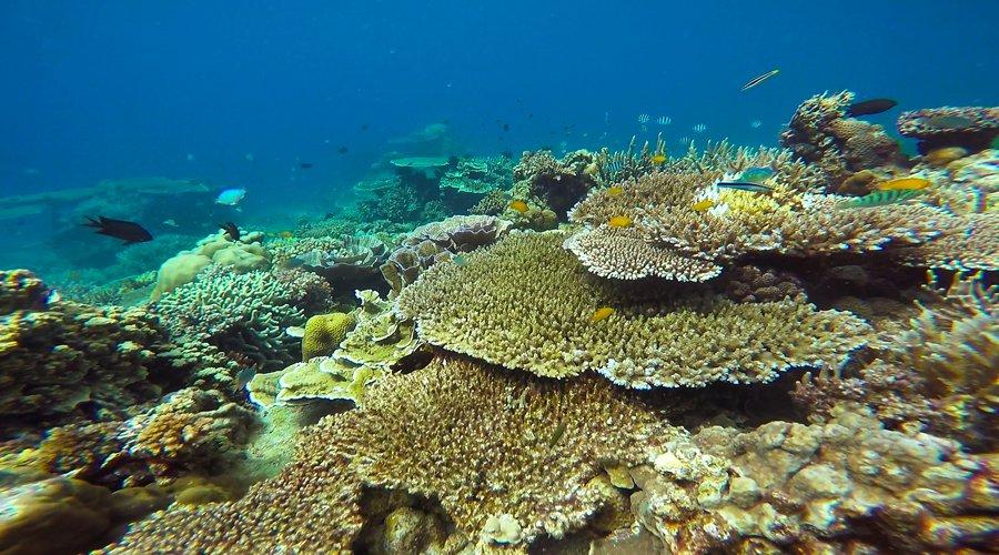 Khám phá nơi mệnh danh là “Bali thu nhỏ” ở Kiên Giang, sở hữu cảnh sắc thiên nhiên đẹp tuyệt đối, thưởng thức đặc sản ngon quên lối về - 3